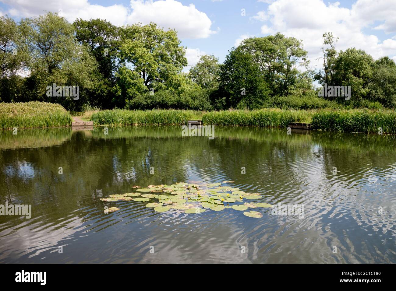 Fishing Pool Stock Photos - 25,646 Images