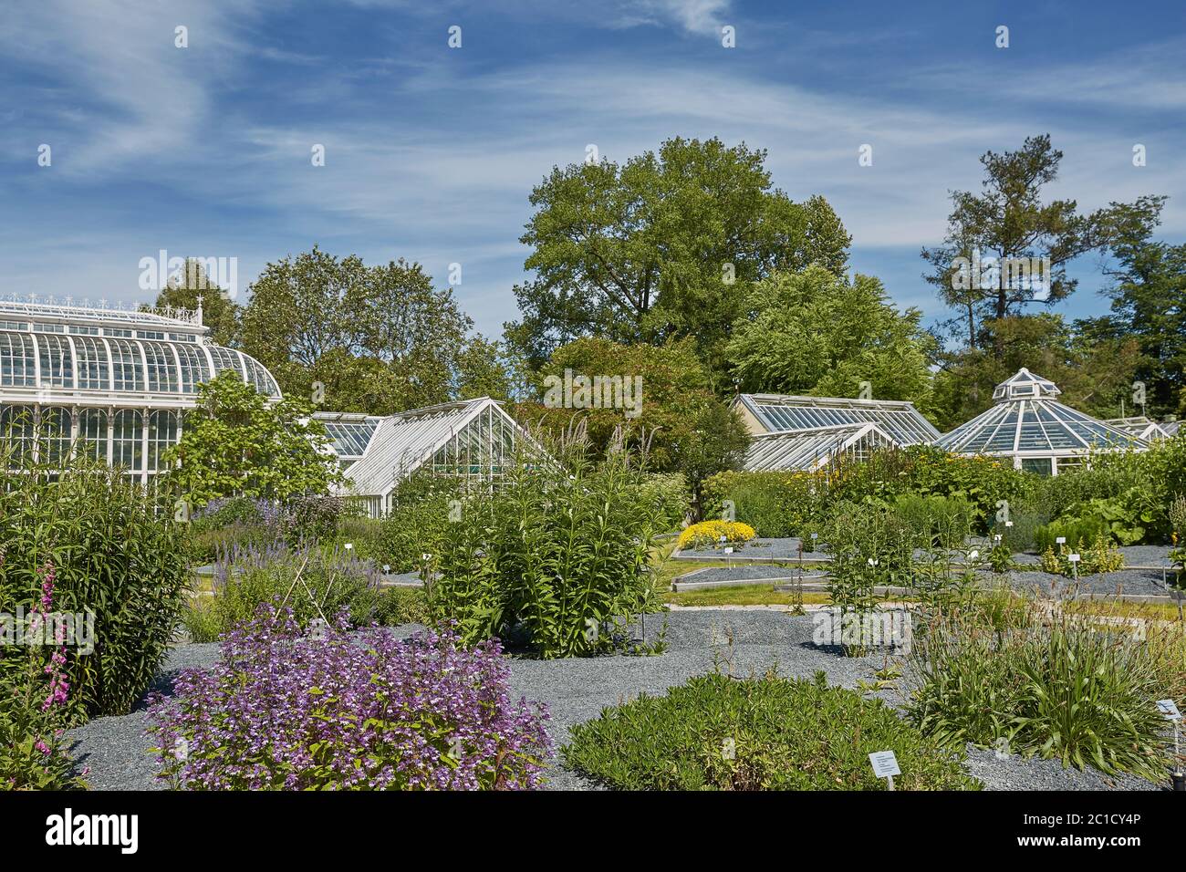 Kaisaniemi botanic garden and its greenhouse in Helsinki Finland Stock Photo