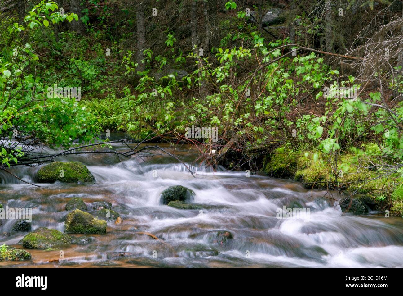 River flowing into another river hi-res stock photography and images ...