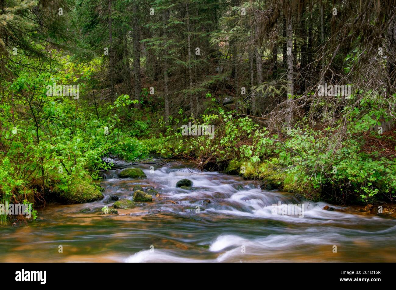 River flowing into another river hi-res stock photography and images ...