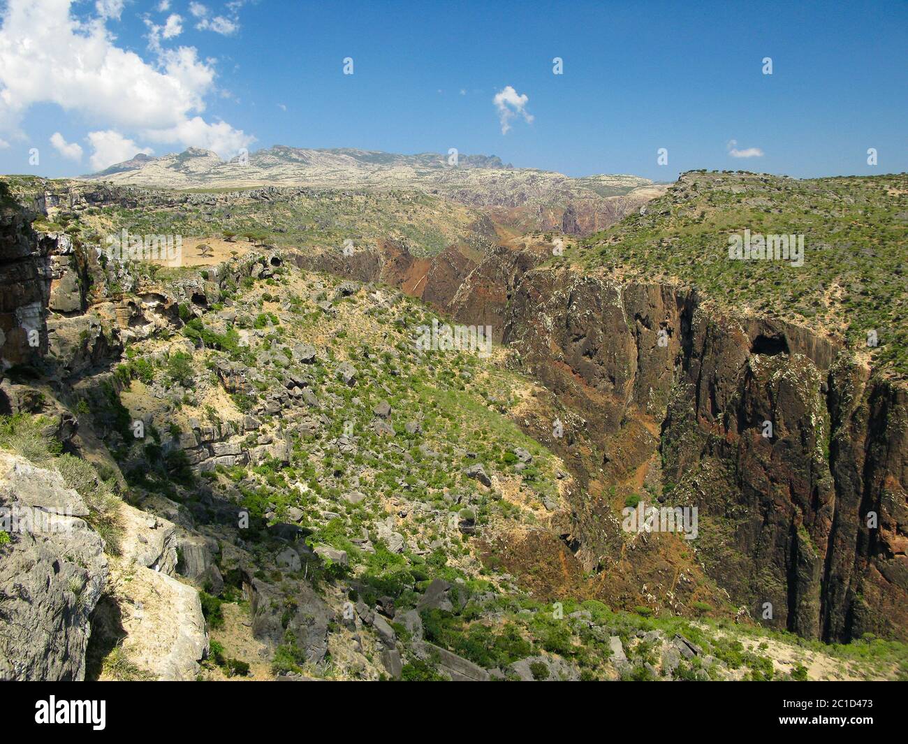 Panorama view to plateau Dixam and gorge Wadi Dirhur, Socotra island, Yemen Stock Photo