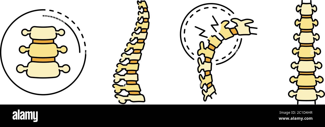 Human lumber spine Stock Vector Images - Alamy