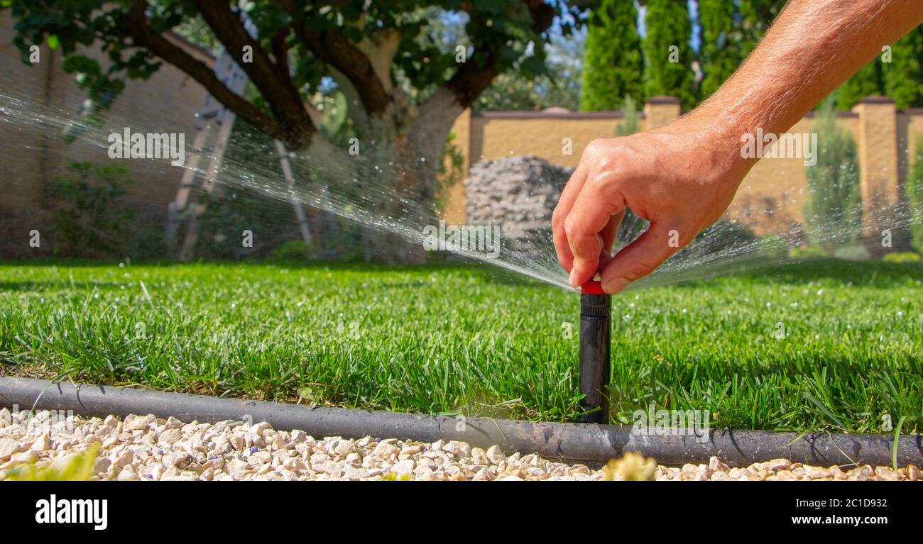 automatic sprinkler system watering the lawn on a background of green
