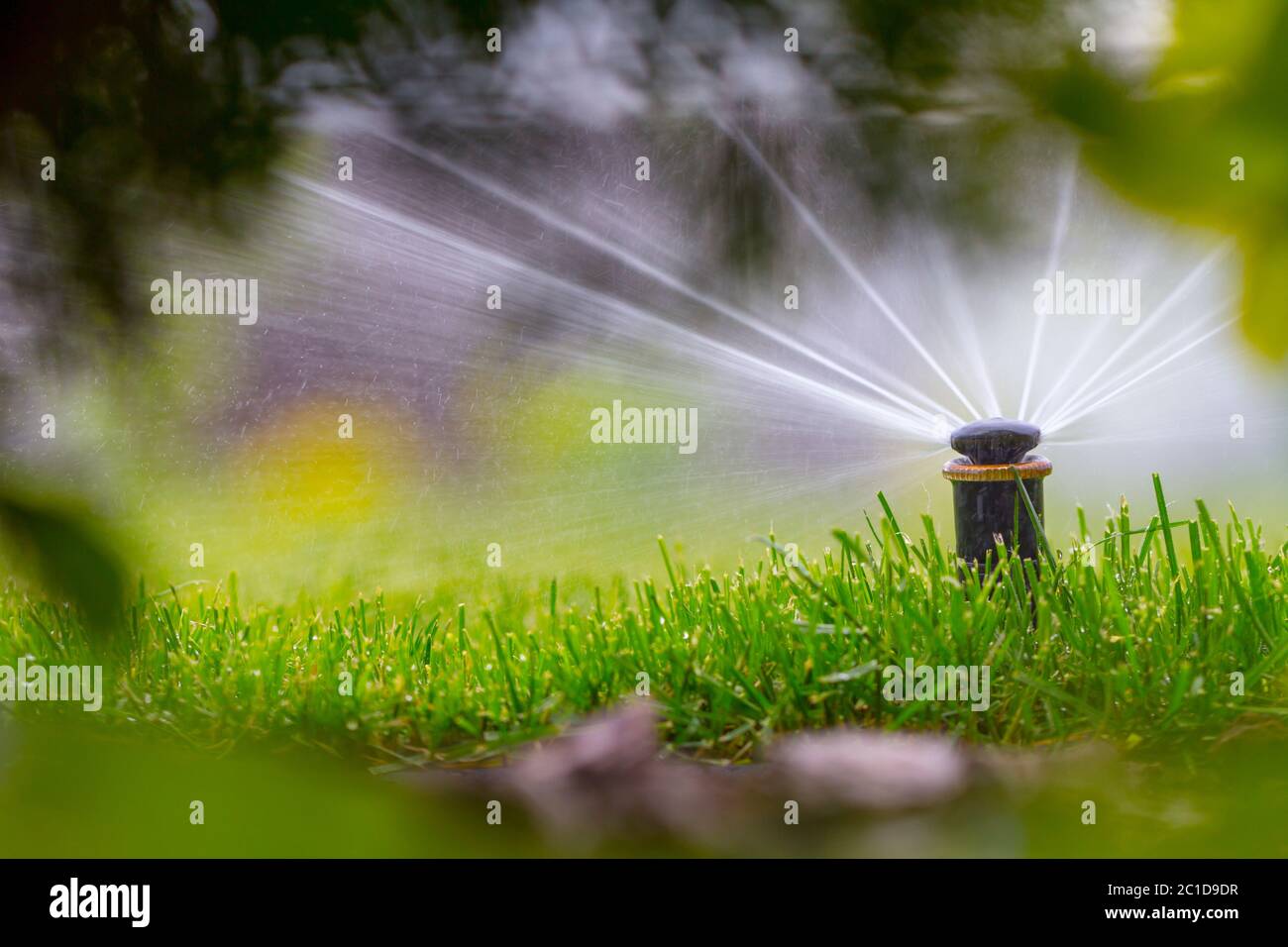 automatic sprinkler system watering the lawn on a background of green ...
