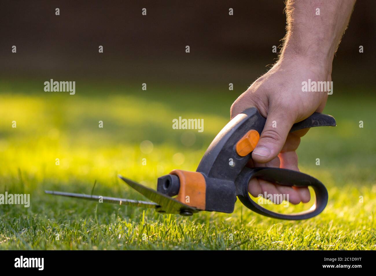 Cutting Grass With Scissors High Resolution Stock Photography and