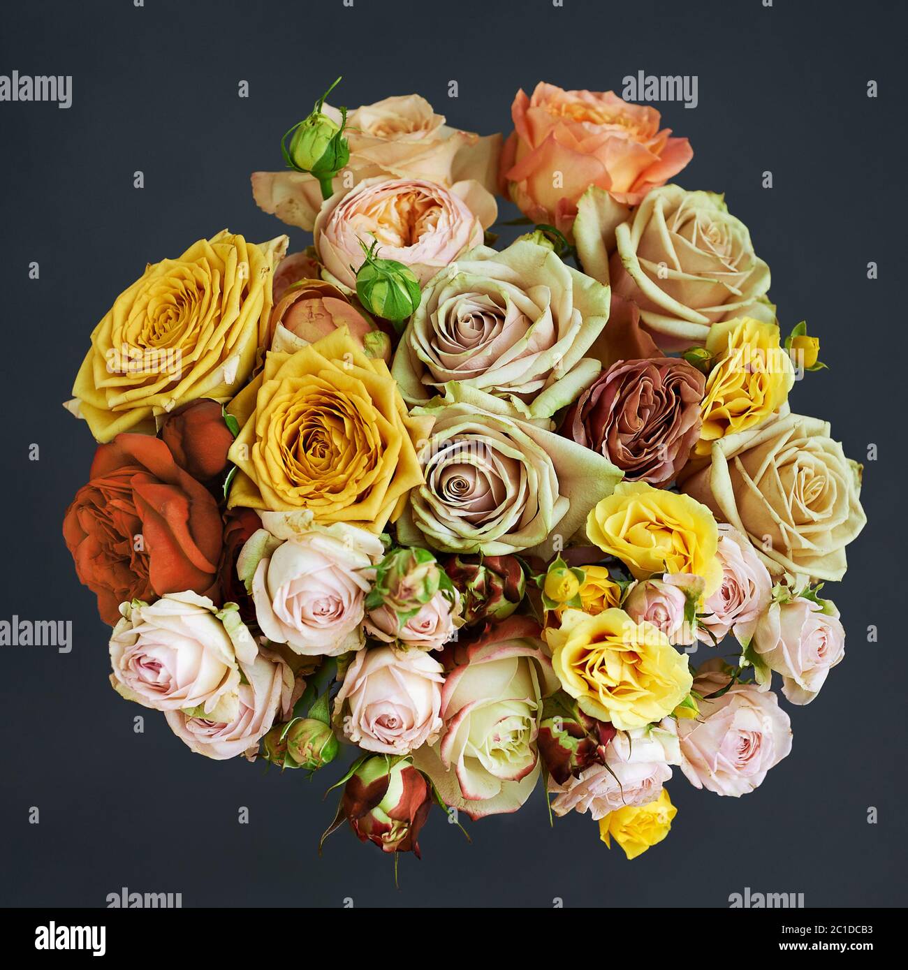 Bouquet of beautiful rose flowers. Top view on a dark background. Stock Photo