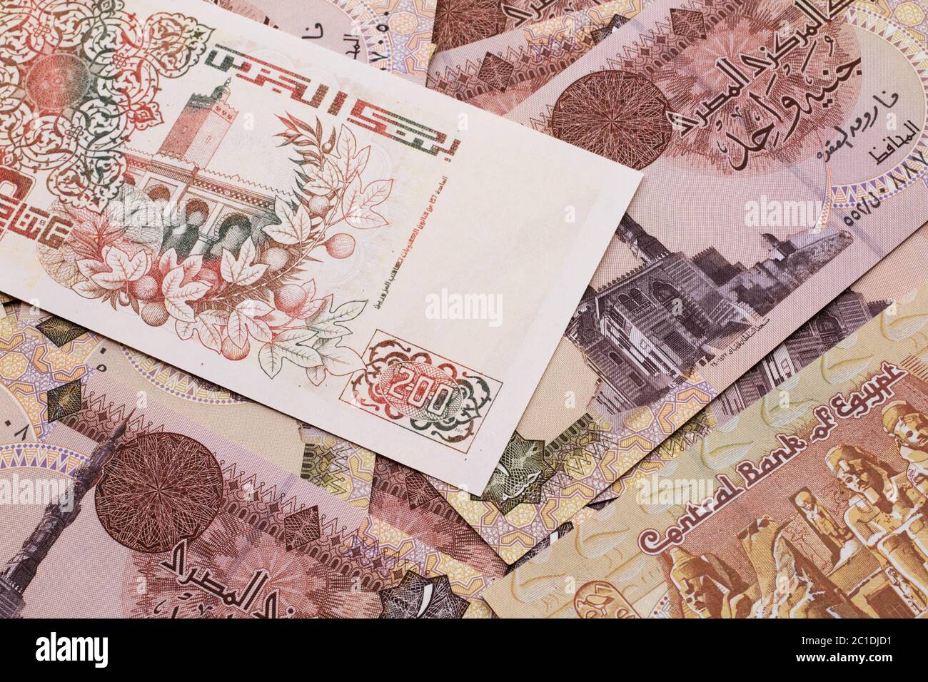 Algeria money note hi-res stock photography and images - Alamy