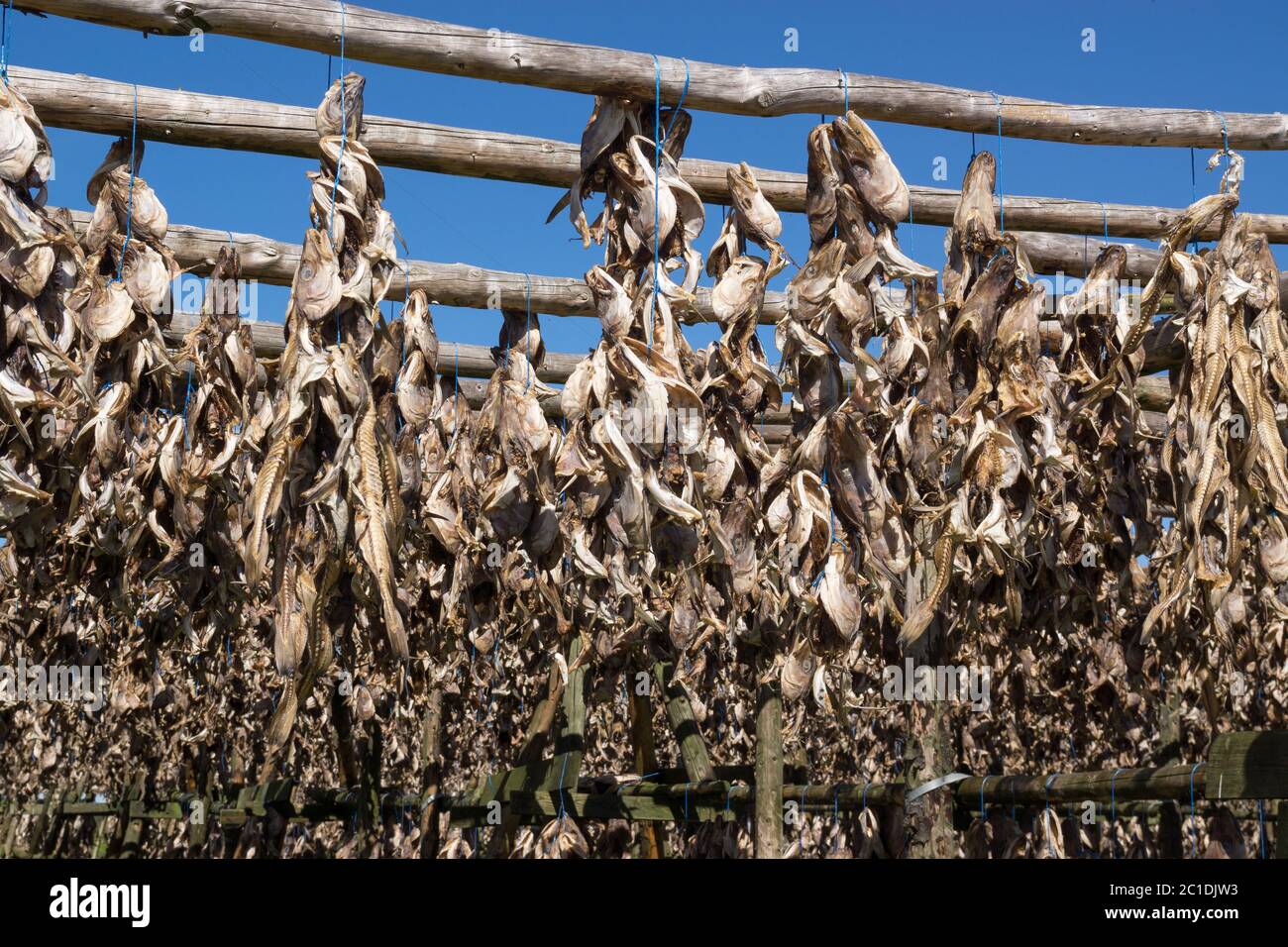 Wooden rack with fish heads, dried fish, fish hanging to dry on