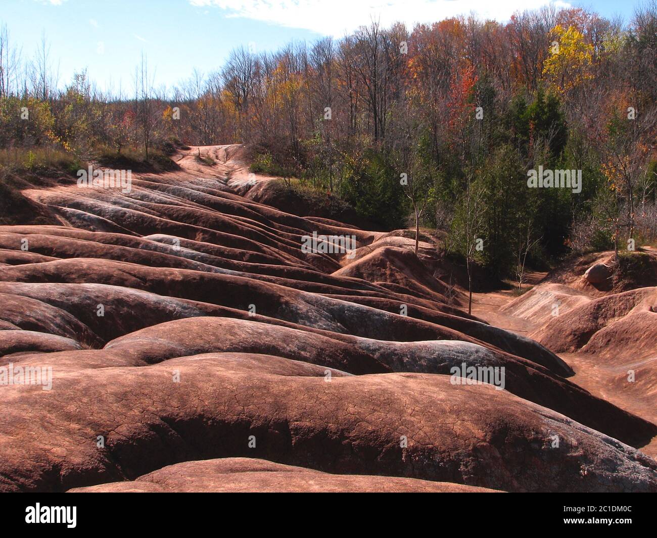 The red and white clay hills of the Cheltenham Badlands formation in