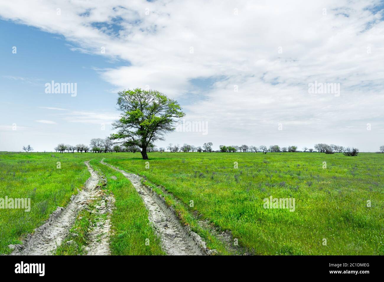 Summer landscape with green grass, road and clouds Stock Photo - Alamy