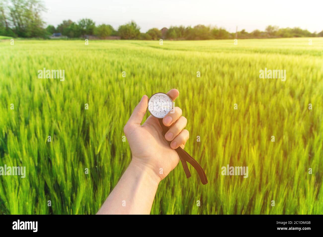 Finding a direction in nature on a wheat field. A man's hand holds a compass Stock Photo