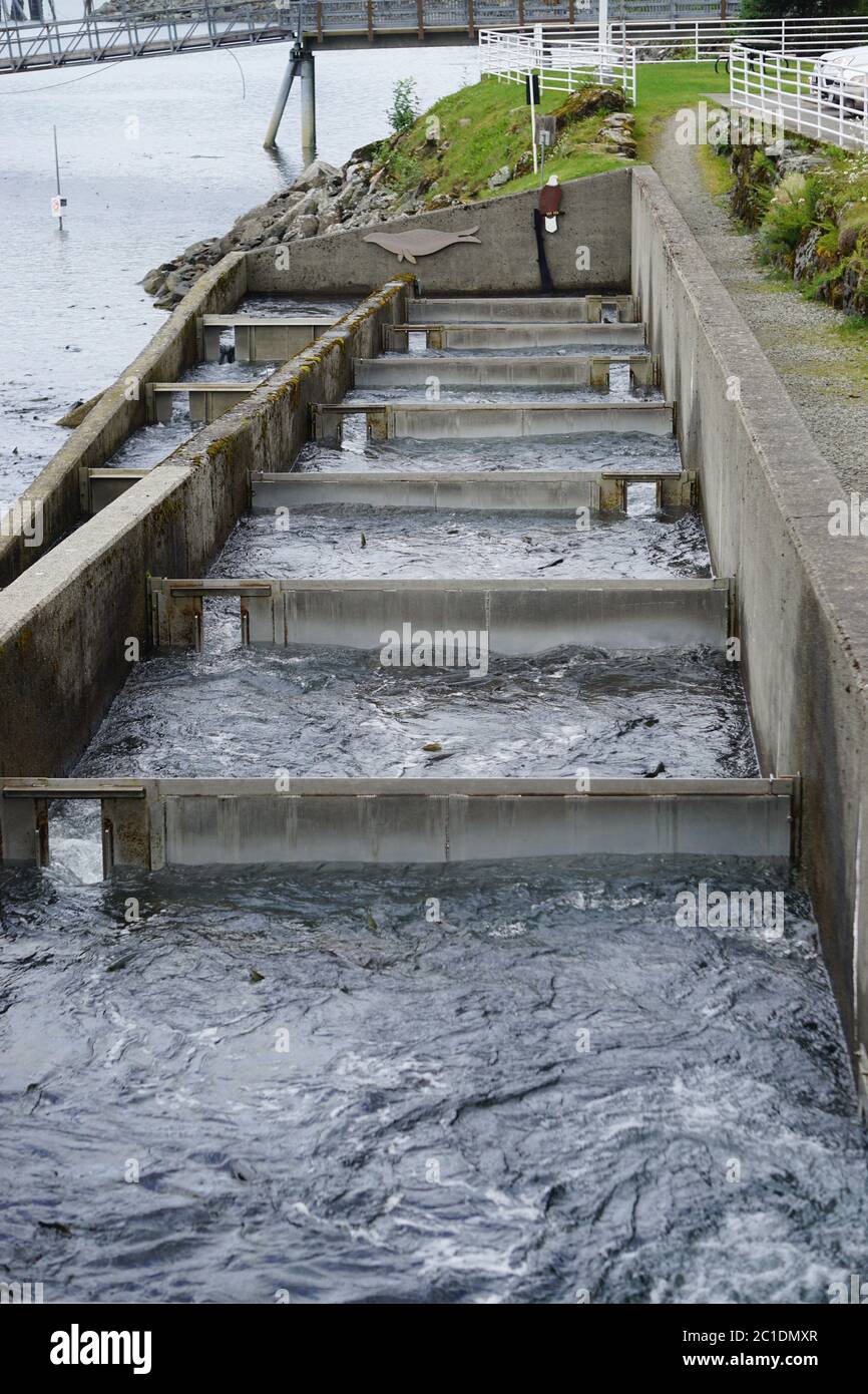 Juneau, Alaska, USA Salmon fish ladder at the Macaulay Salmon Hatchery