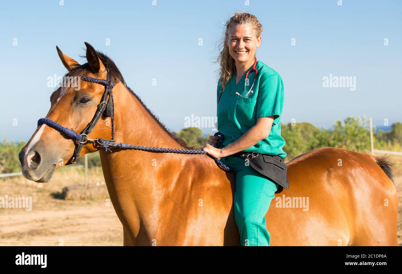 Equine veterinary at the equestrian riding a horse Stock Photo Alamy