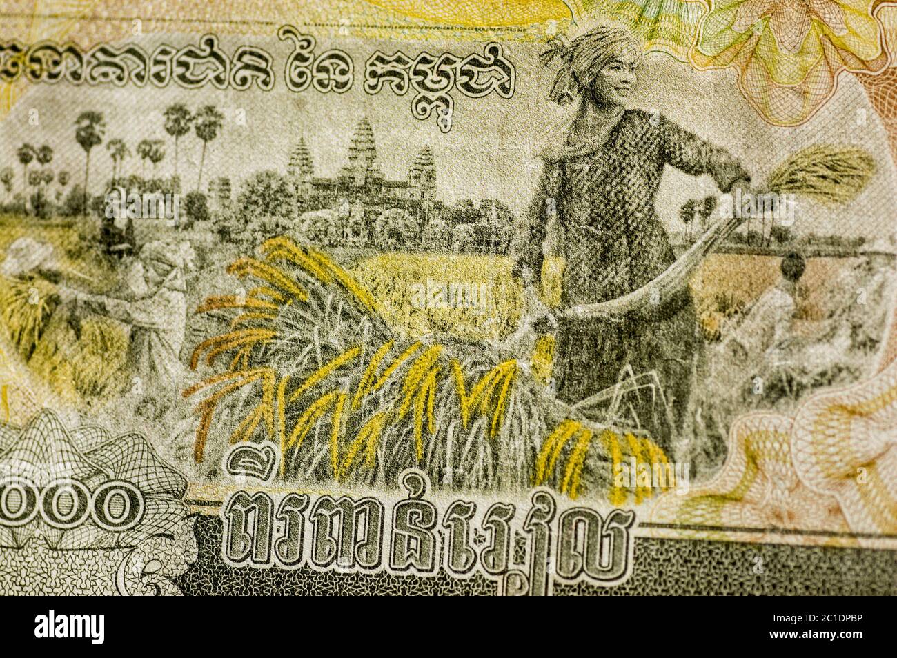 A Cambodia banknote for 2,000 Riels showing a woman harvesting rice with Angkor Wat temple in the background. Used banknote, photographed at an angle. Stock Photo