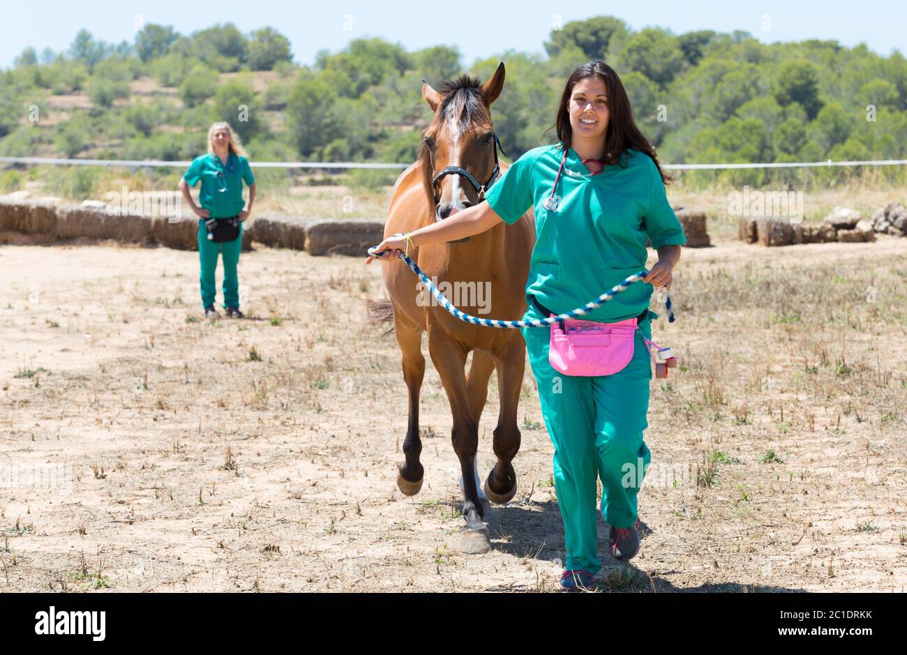 Vet with stethoscope horse hi-res stock photography and images - Alamy