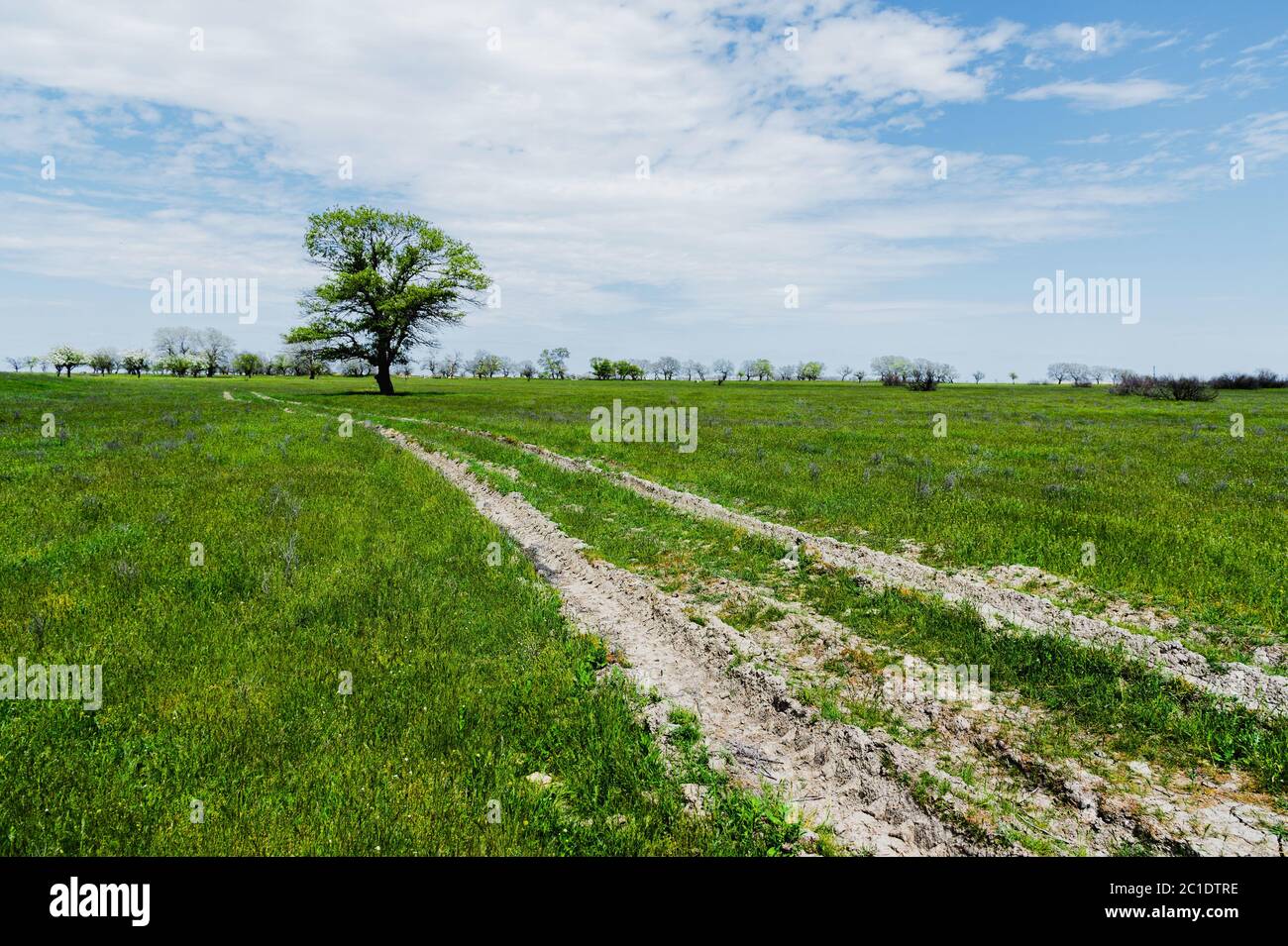 Summer landscape with green grass, road and clouds Stock Photo - Alamy