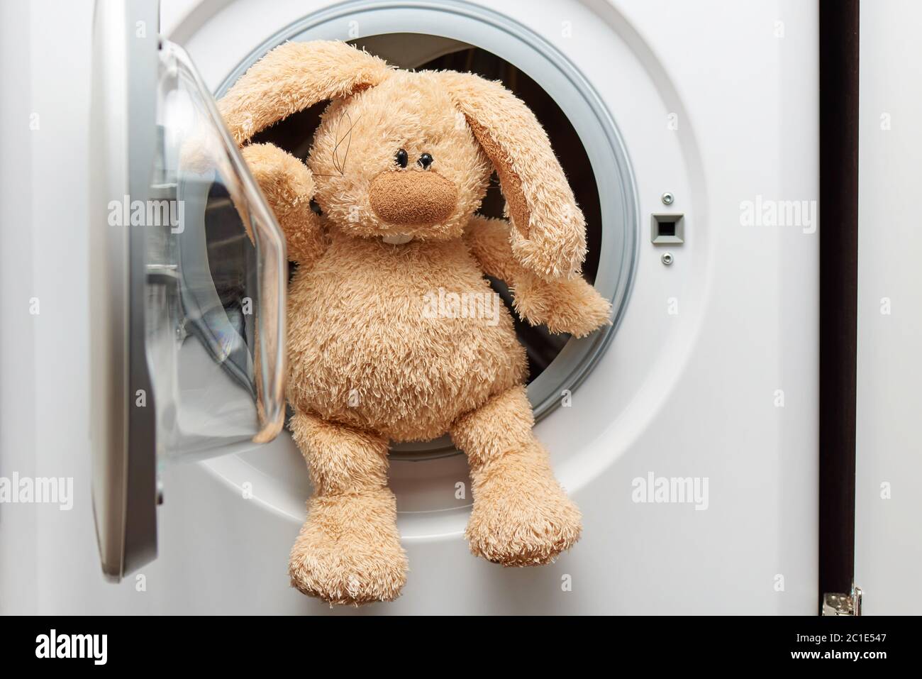 Stuffed toy rabbit in the washing machine Stock Photo Alamy
