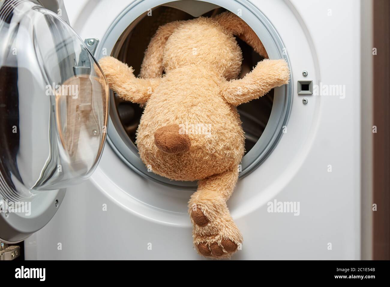 Stuffed toy rabbit with his back in the washing machine Stock Photo Alamy