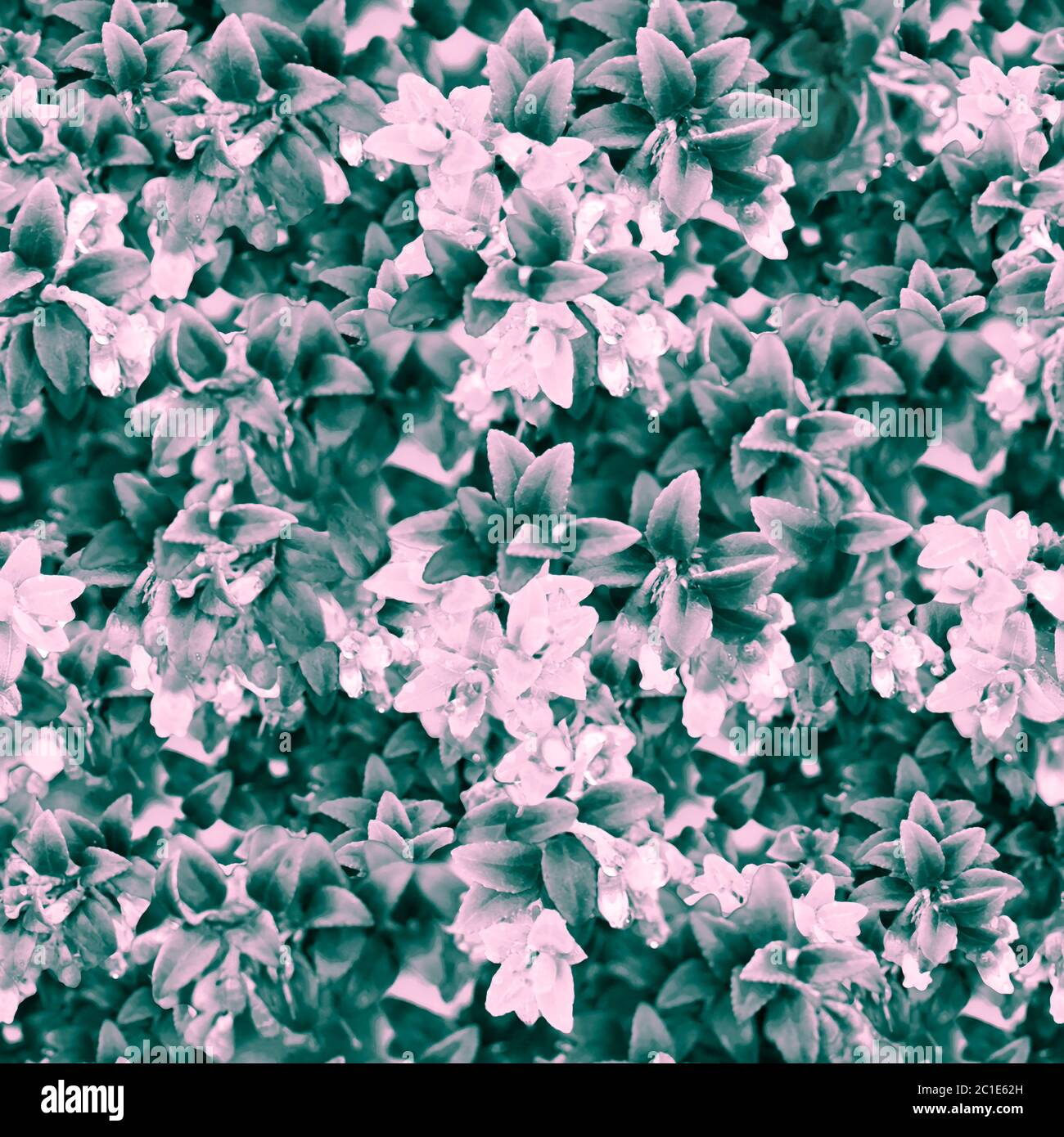 Floral Collage Seamless Pattern Stock Photo