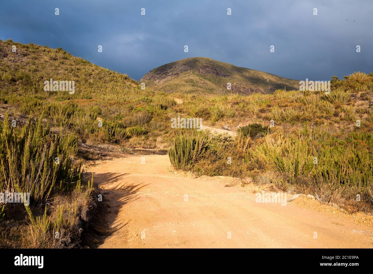 Dark gravel pathway road hi-res stock photography and images - Alamy