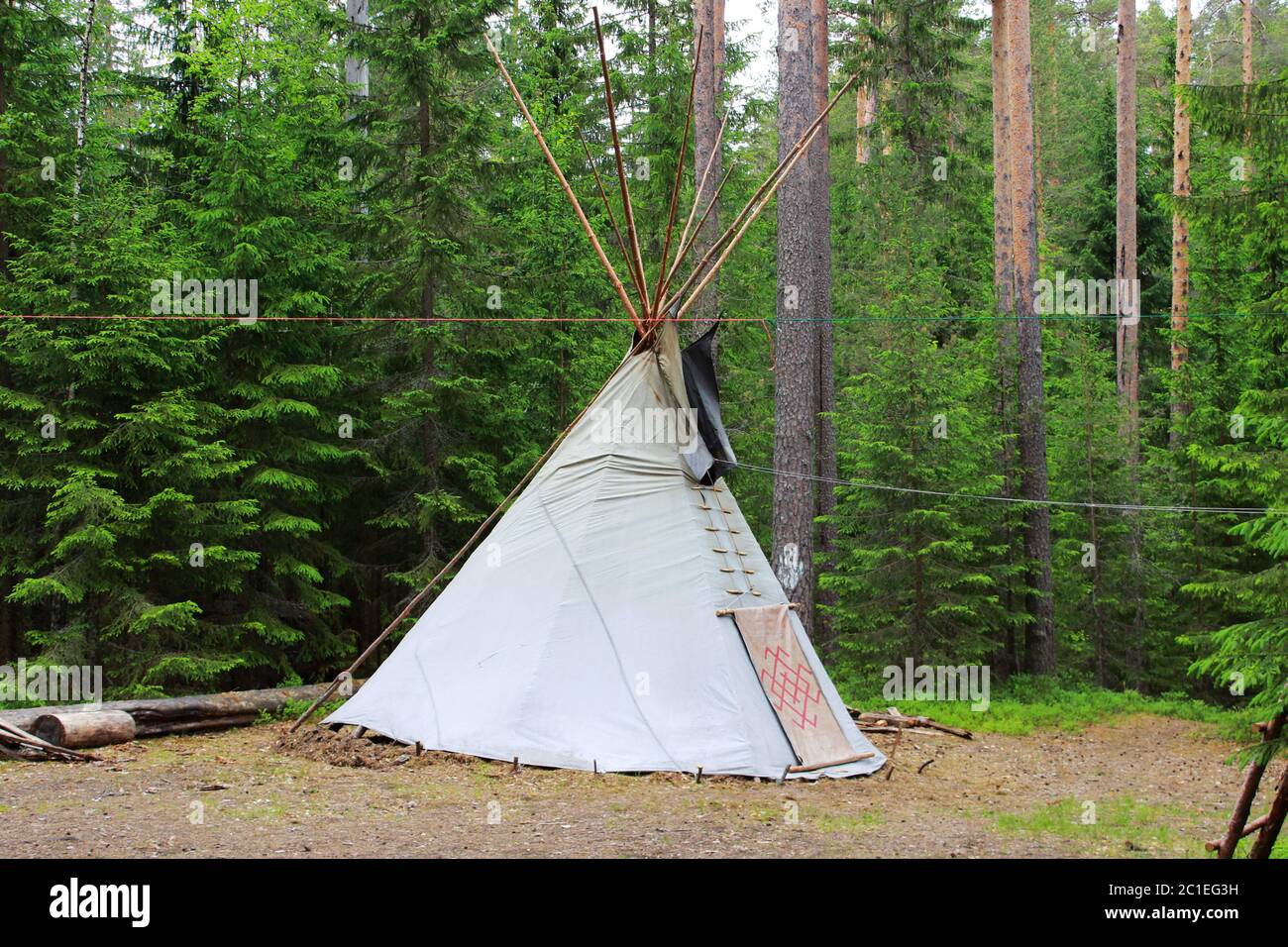 wigwam or teepee standing in summer coniferous forest. Stock Photo