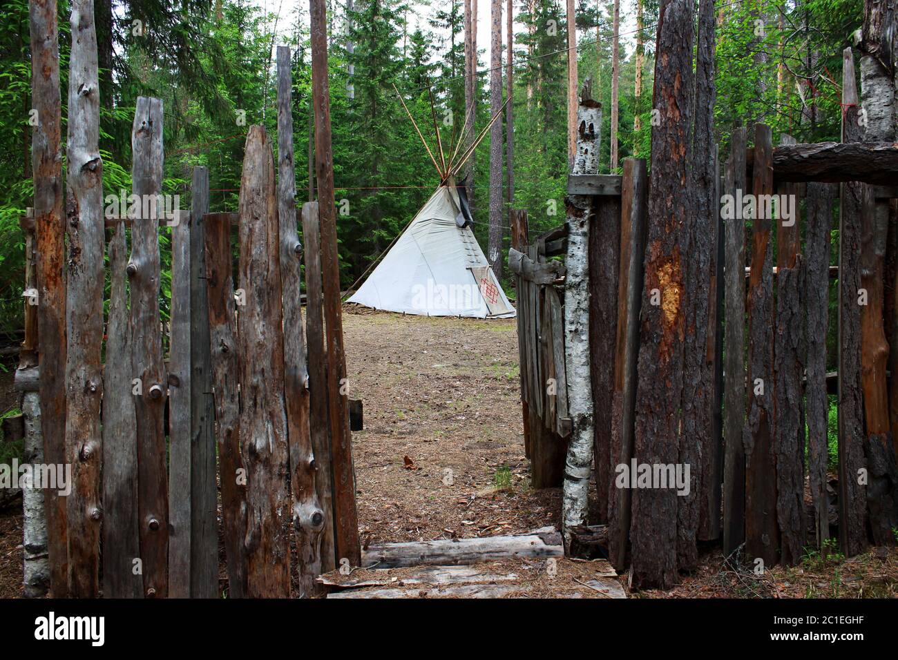 wigwam or teepee standing in summer coniferous forest. fence of boards and wood bark. Stock Photo