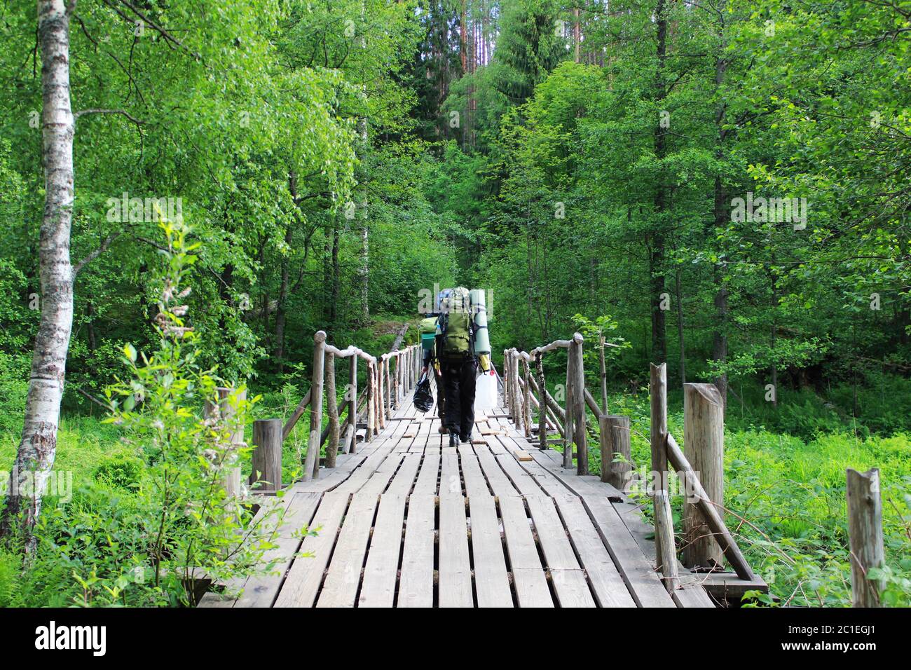 Coniferous forest region hi-res stock photography and images - Alamy