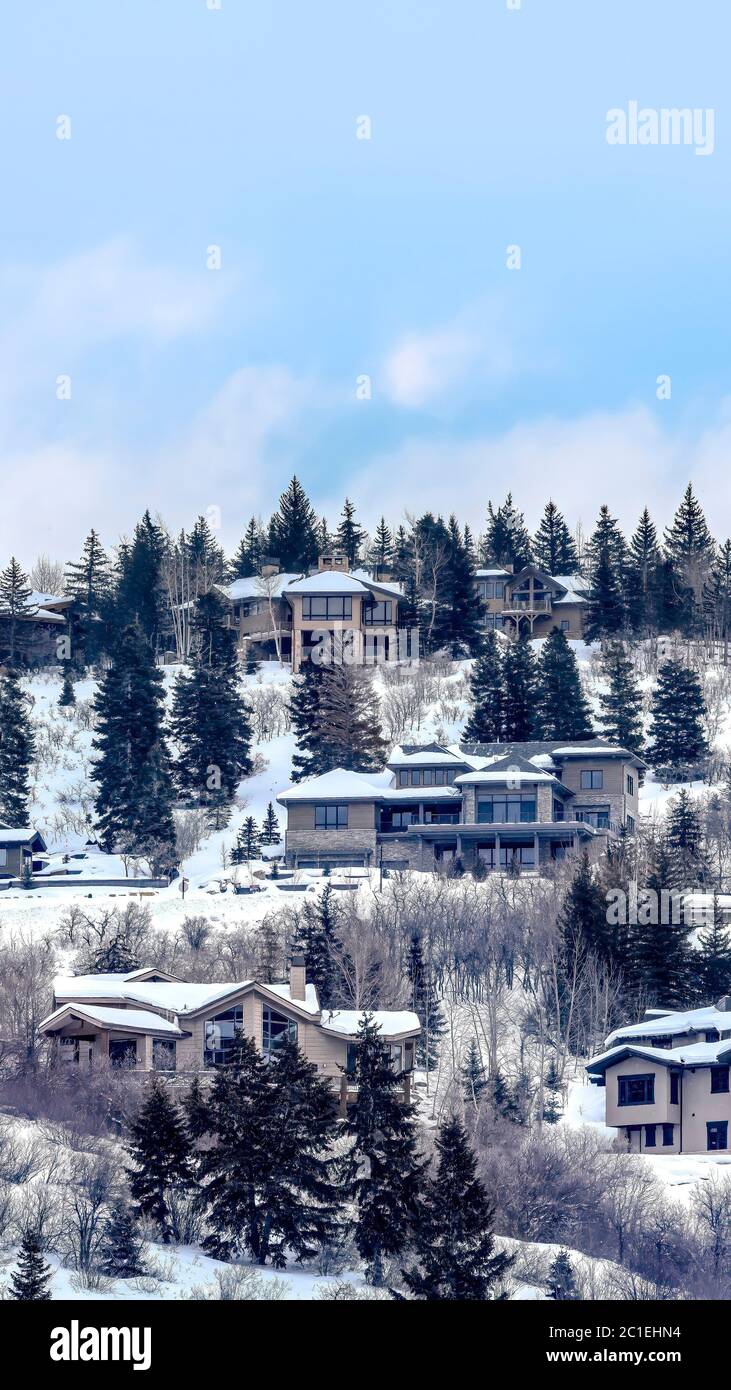 Vertical frame Park City Utah neighborhood with homes that sit on snowy ...