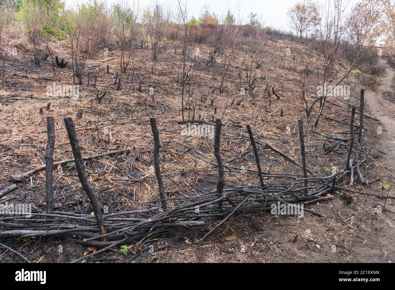 A large section of the heathland on Waldridge Fell has been damaged by a wildfire in May 2020, near Chester-le-Street, Co. Durham, England, UK Stock Photo