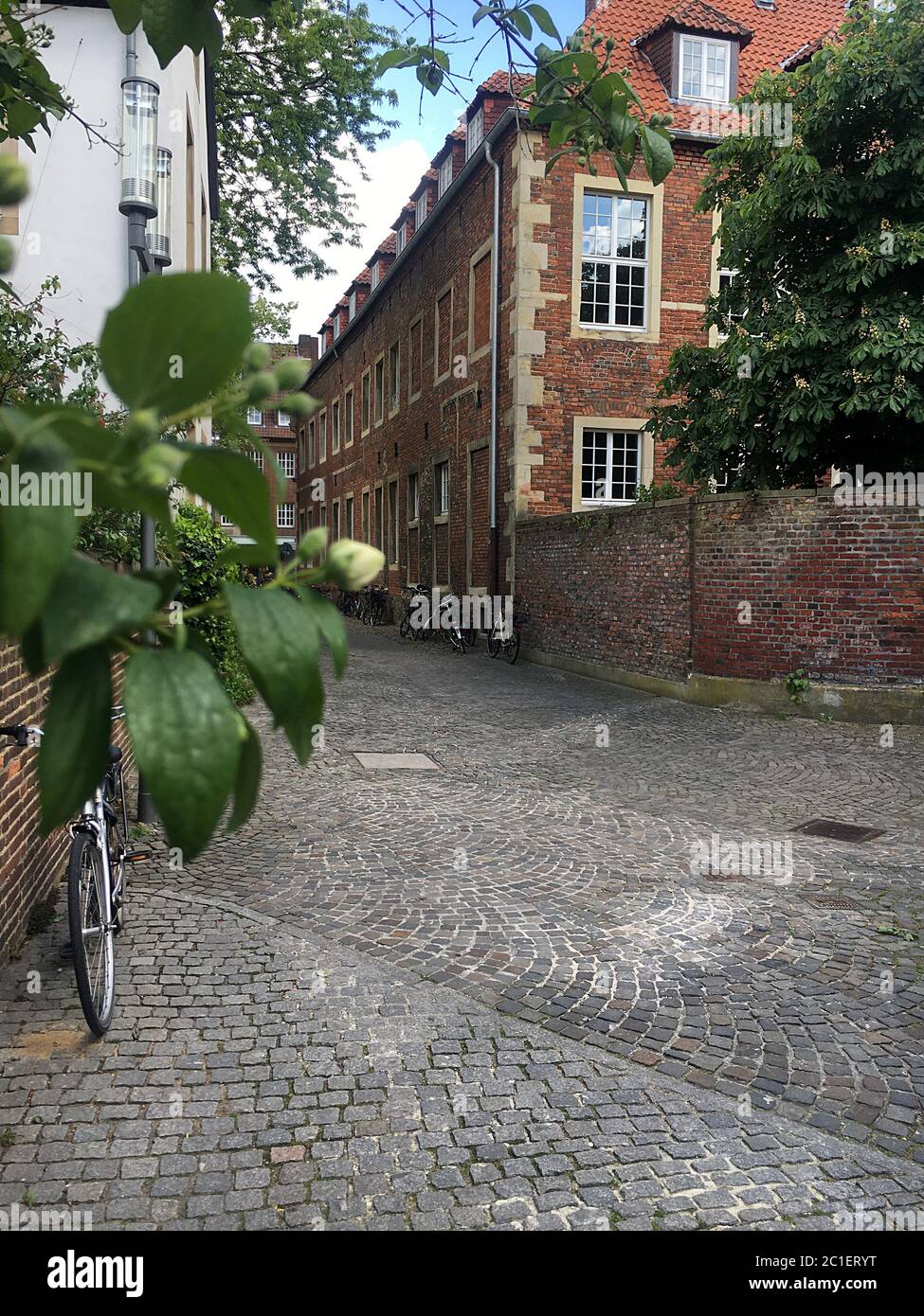Cobblestone street in Muenster, Germany in spring with foliage. Stock Photo
