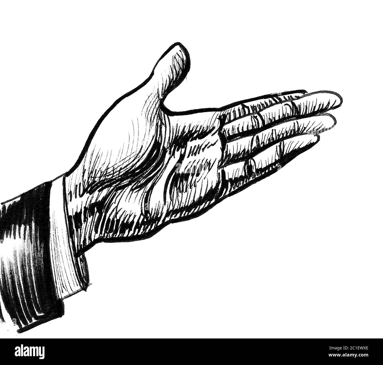 Human hand. Ink black and white drawing Stock Photo Alamy