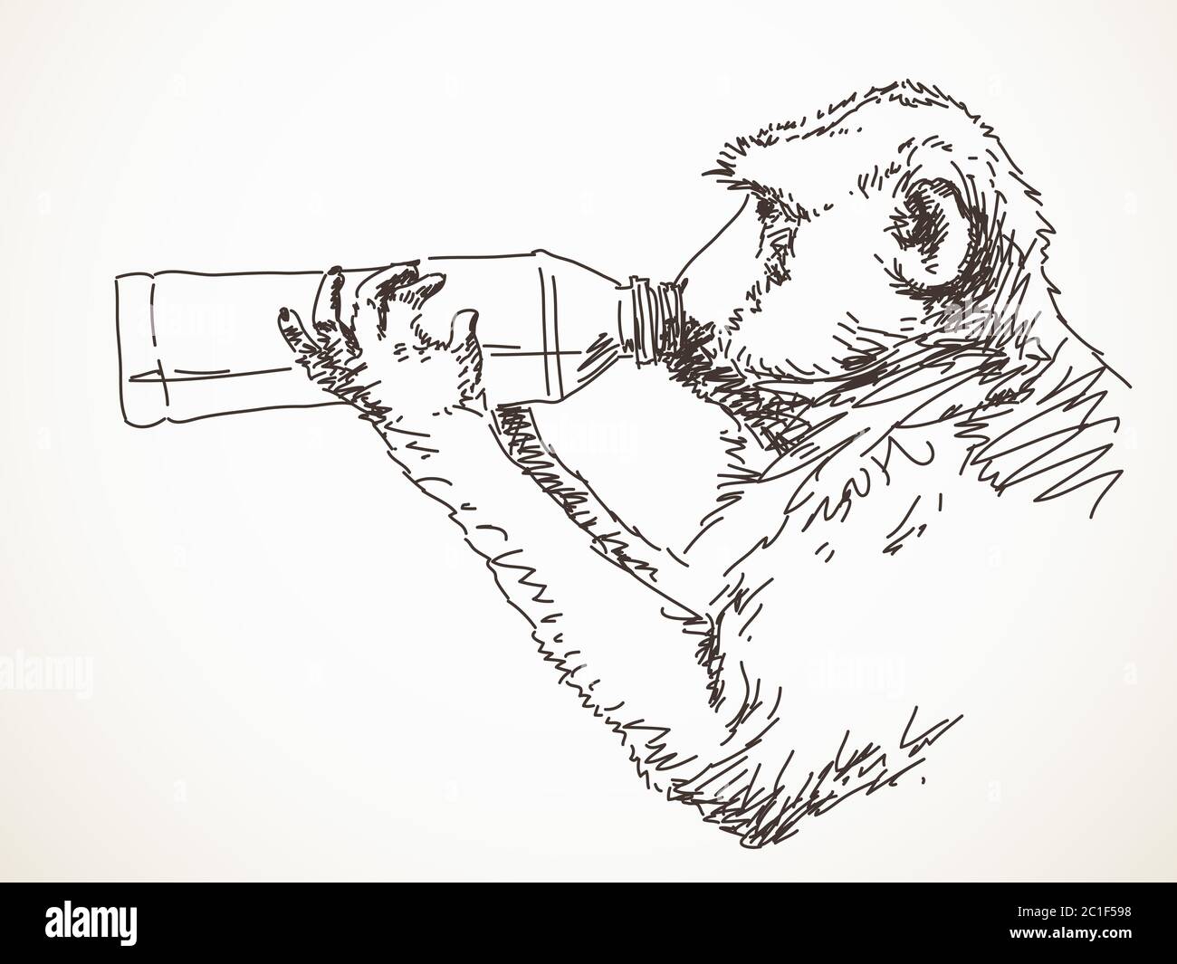 Sketch of monkey drinking water Hand drawn vector illustration Stock Vector