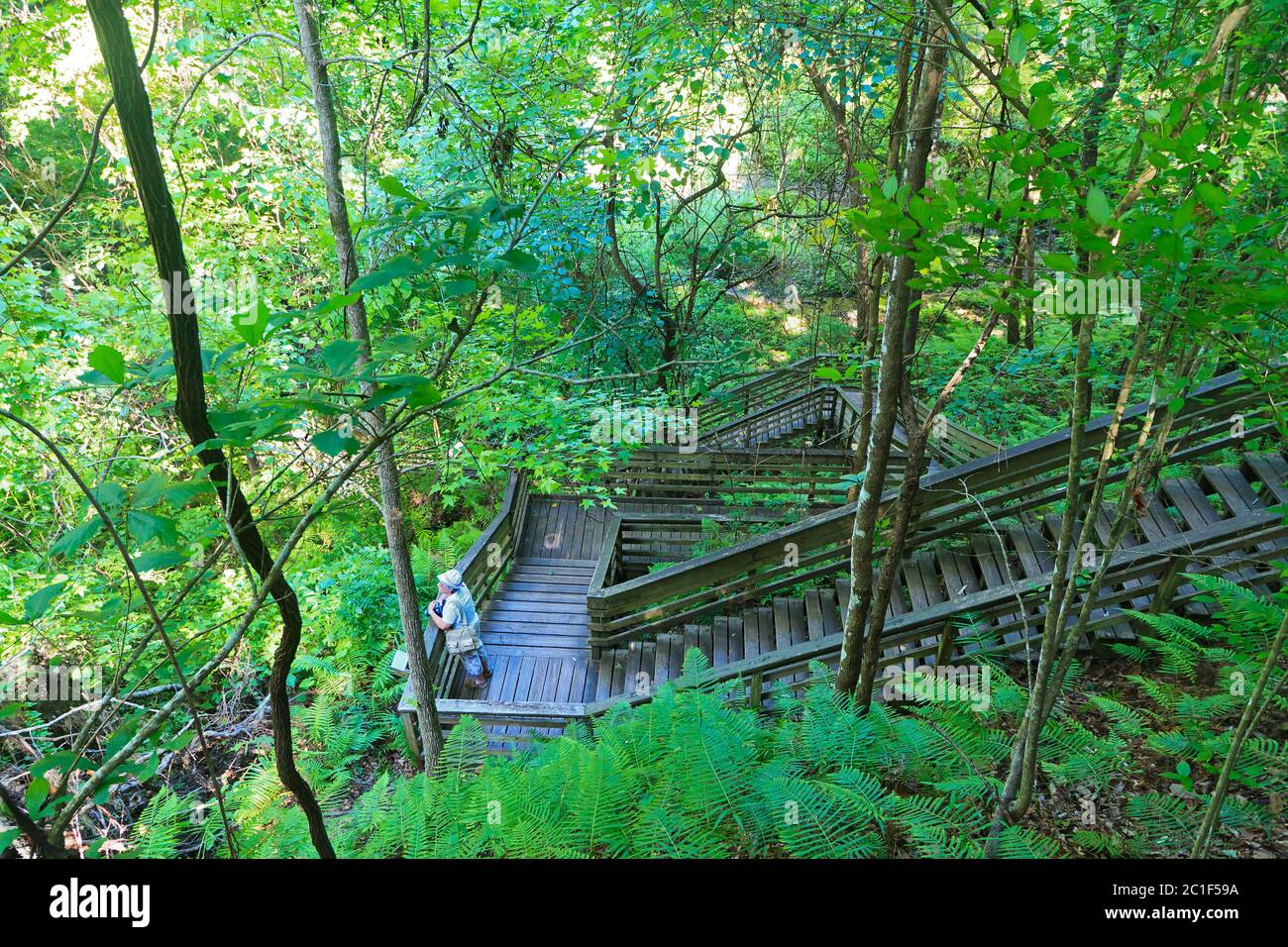 Millhopper park hires stock photography and images Alamy