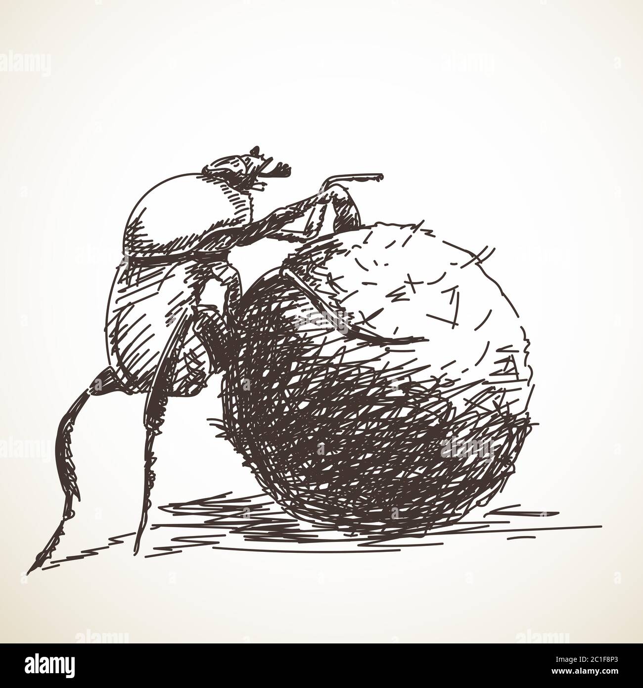 4800 Dung Beetle Illustrations RoyaltyFree Vector Graphics  Clip Art   iStock  Horned dung beetle Dung beetle grass Dung beetle tunnel