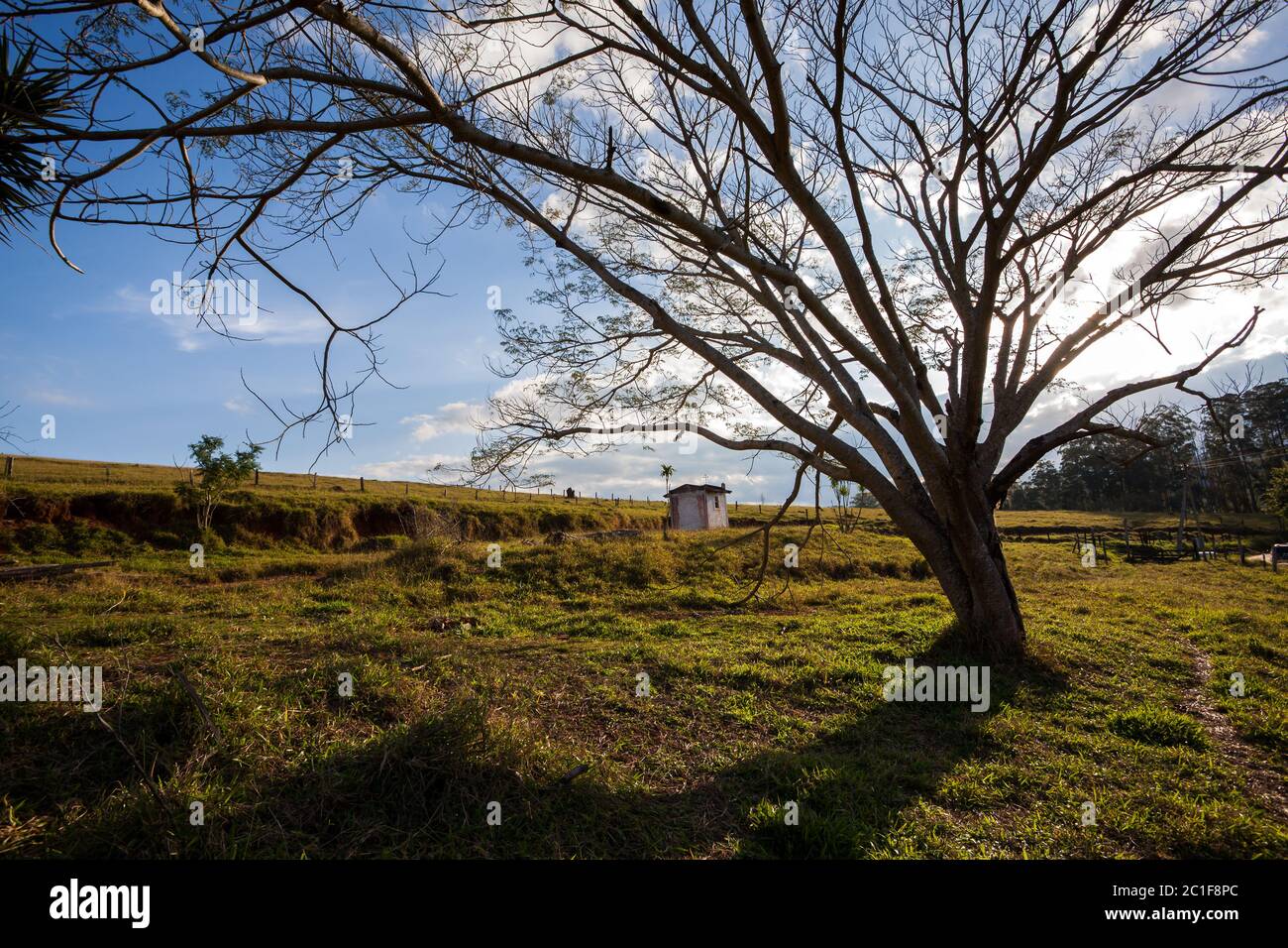 Wide angle field hi-res stock photography and images - Alamy