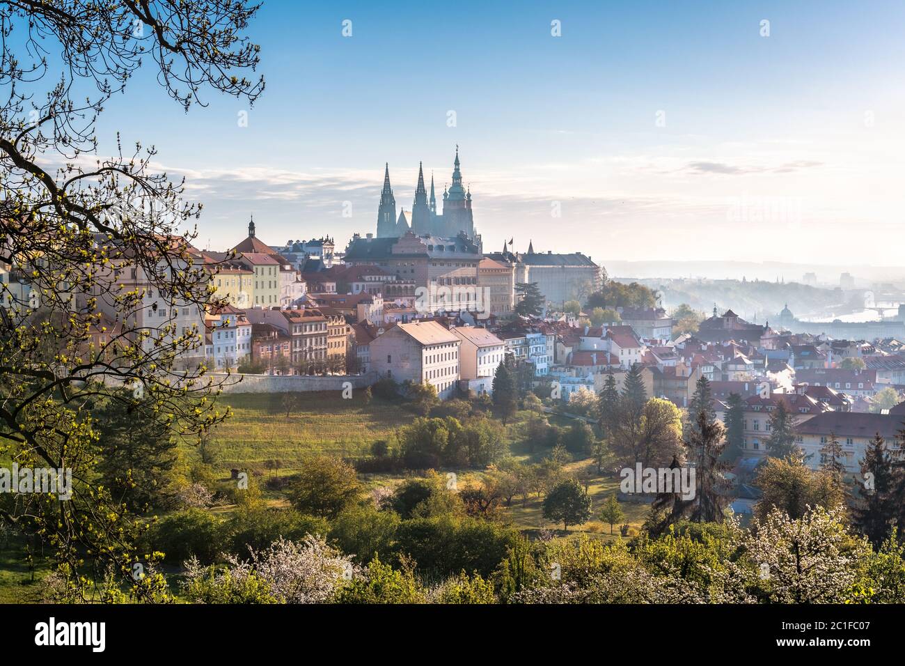 Prague Castle, St. Vitus cathedral and the UNESCO heritage site of the old city center with red rooftops captured behind blooming apple orchard from S Stock Photo