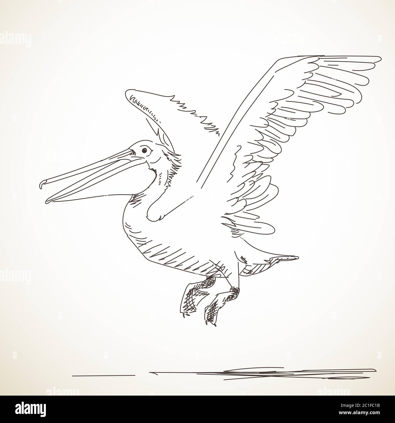 Buy Pelican in Flight Pelican Drawing Pelican Print Bird Art Online in  India  Etsy