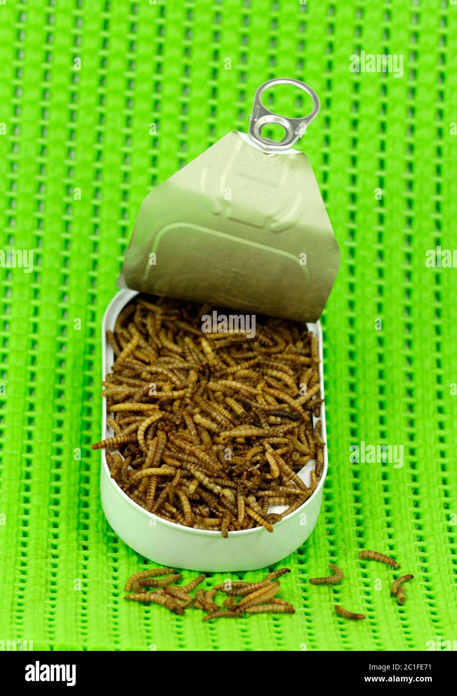 dried mealworms, animal protein Stock Photo