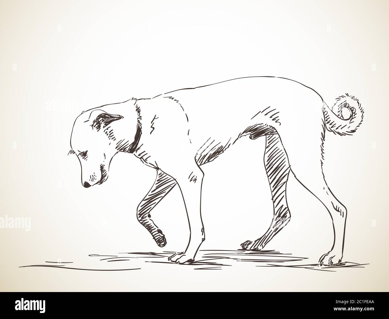 Sketch of dog. Hand drawn illustration. Isolated Stock Vector ...