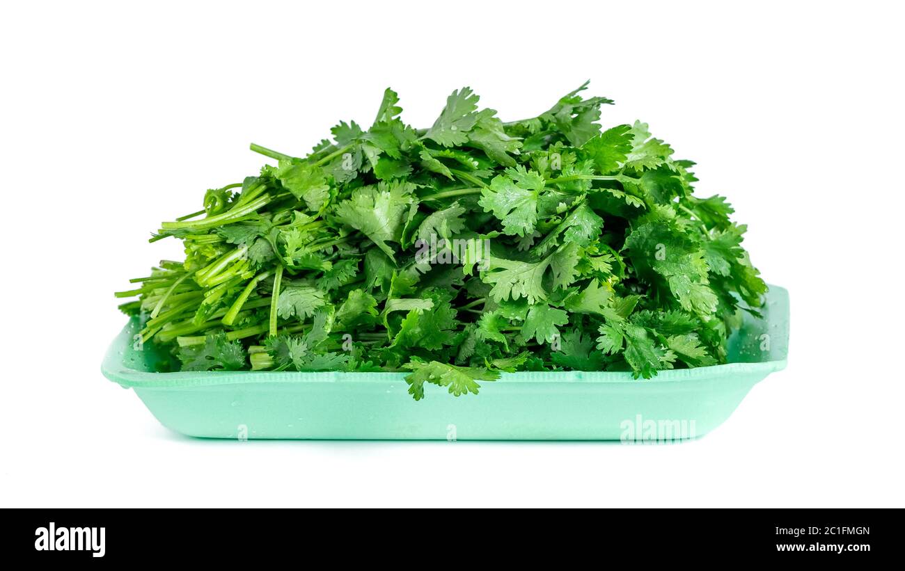 fresh coriander and parsley isolated on white background Stock Photo