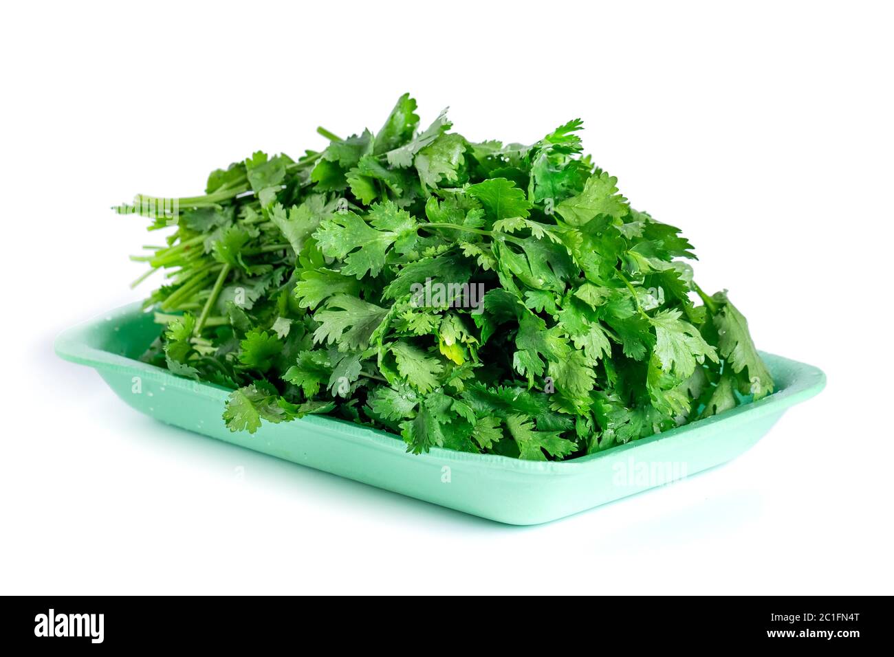 fresh coriander and parsley isolated on white background Stock Photo