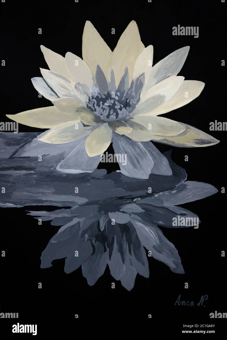 Black and white flower drawing Stock Photo