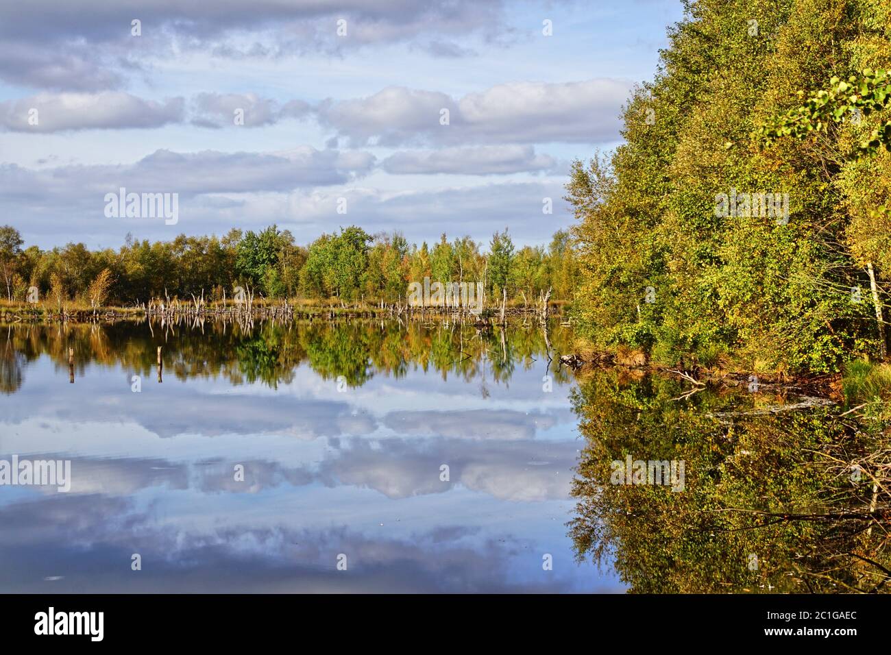 Wonderful autumn Stock Photo