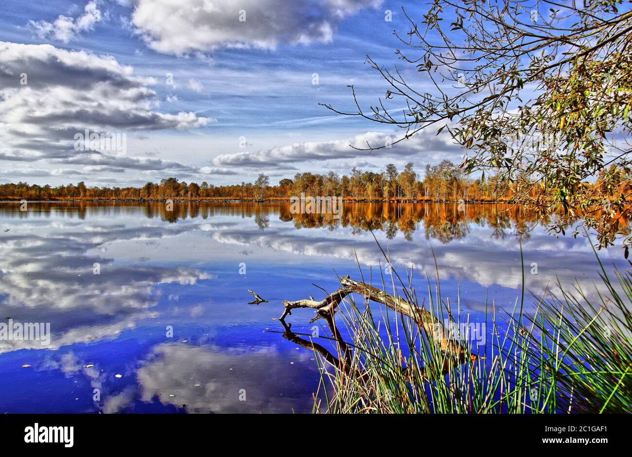 Lake in the autumn Stock Photo - Alamy