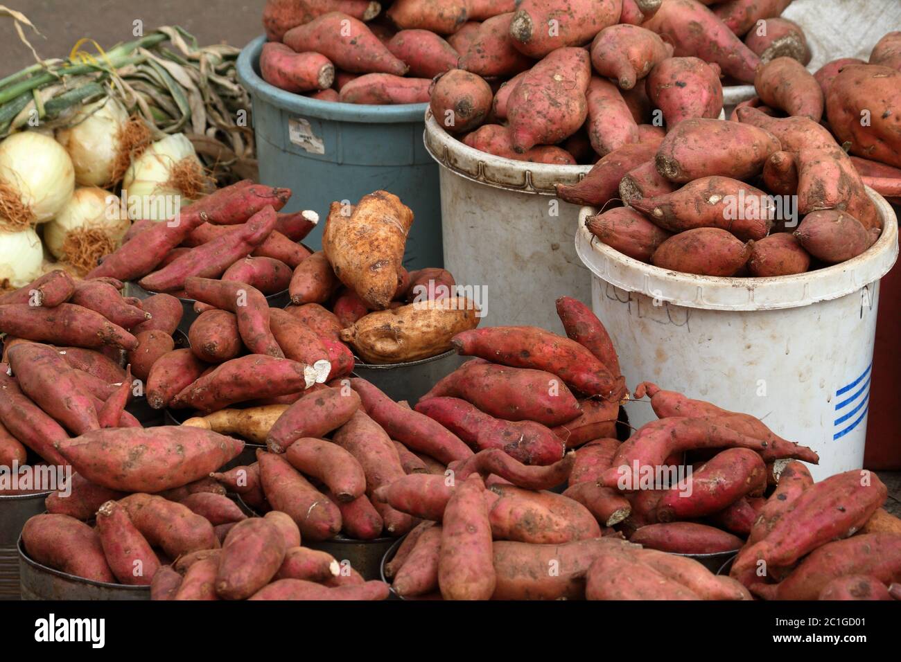 Fresh vegetables at the Bulawayo market in Zimbabwe Stock Photo Alamy