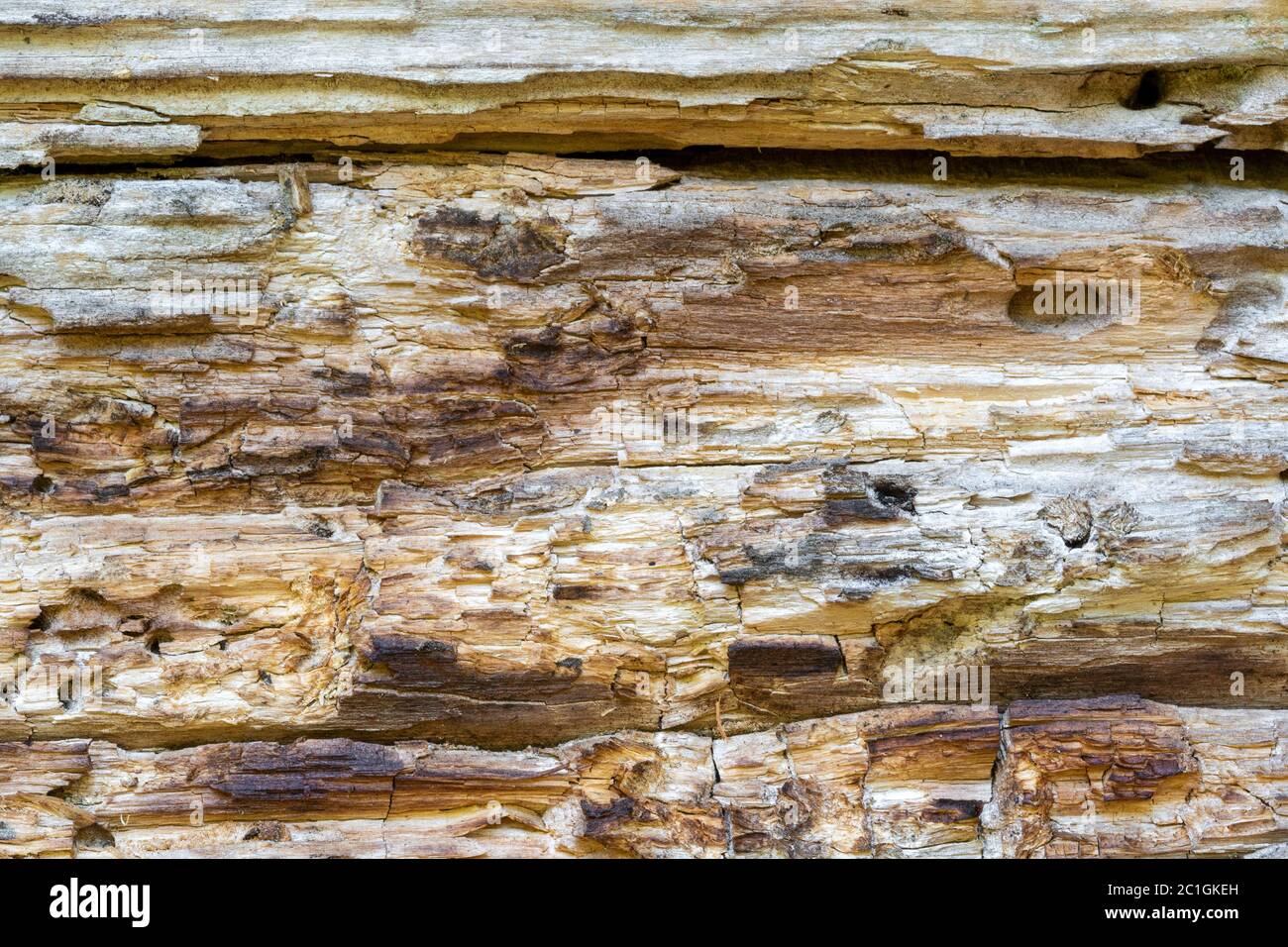 Deep Rotten Wood Rotten Woodwork High Resolution Stock Photography and Images - Alamy