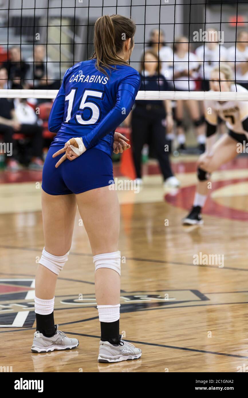 Volleyball woman player Carabins Montreal Stock Photo Alamy