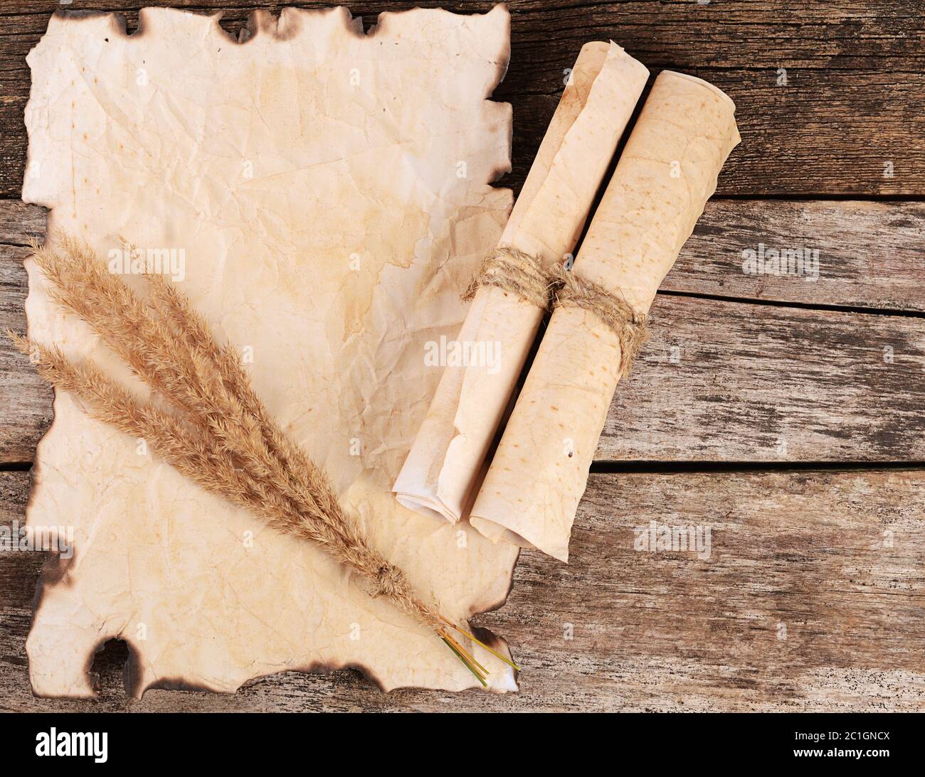Old paper with the burned edges Stock Photo