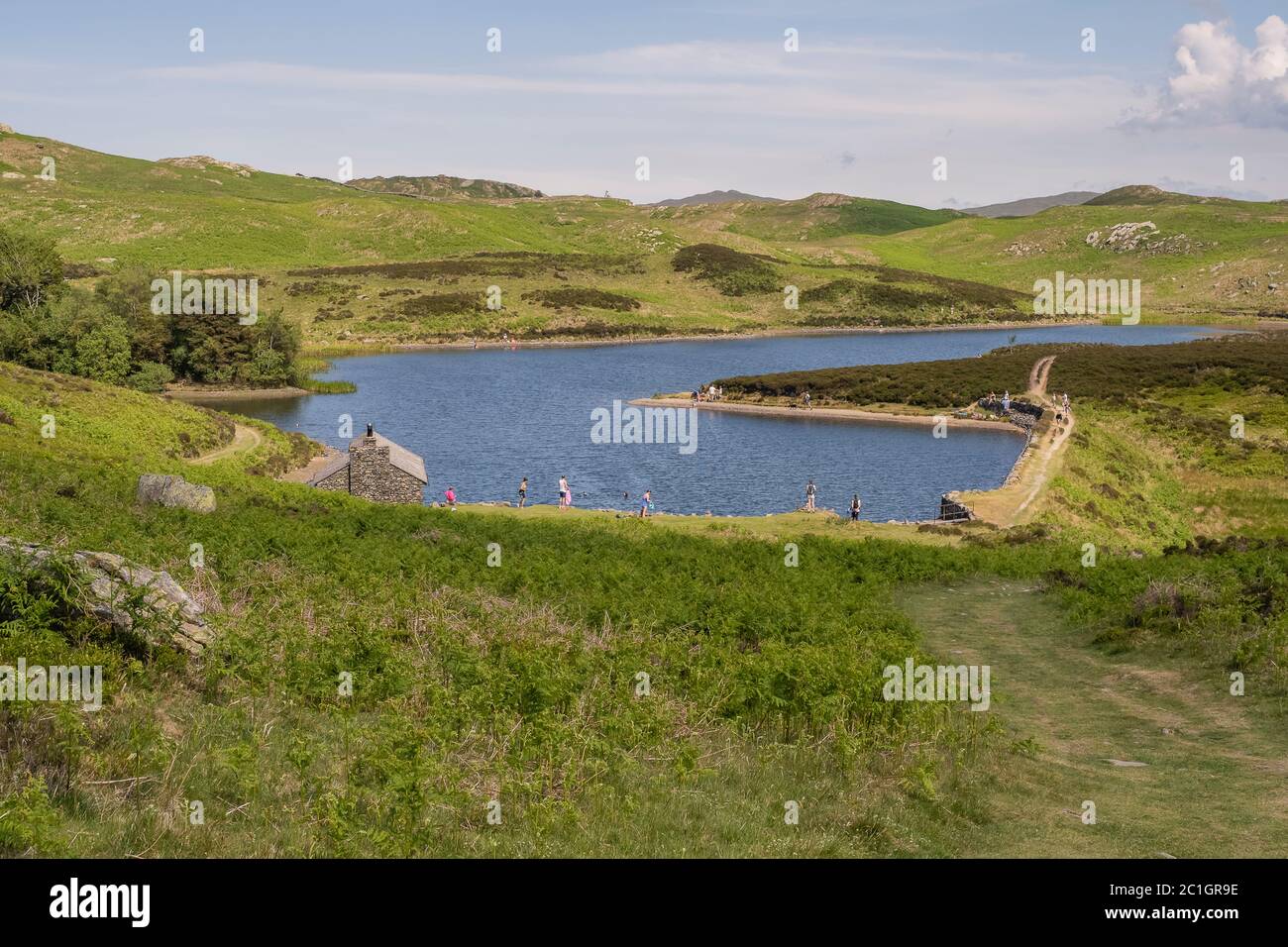 Potter Fell is a fell near the villages of Burneside and Staveley, Cumbria, England. A number of tarns are present on the fell, including Gurnal Dubs Stock Photo