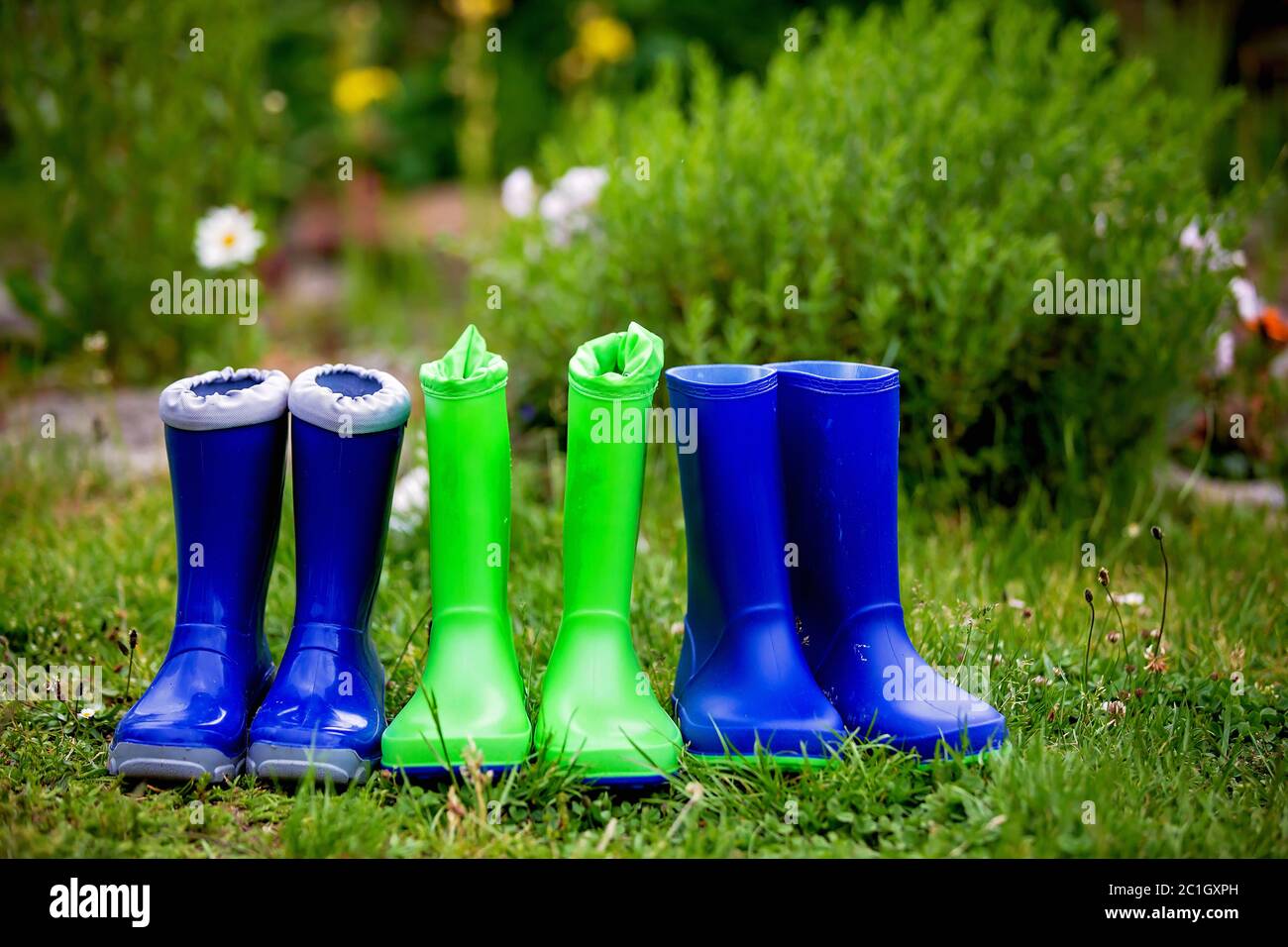 Rubber boots with beautiful flowers in garden Stock Photo - Alamy